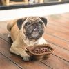 Dog food bowl Silicone folding automatic feeder outdoor travel portable