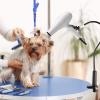 Dog Grooming Hair Dryer Hands-Free w/ Aluminum Alloy Gooseneck Clip Holder