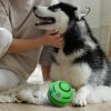Giggle Dog Ball; 5.5" in Diameter; Green Interactive Dog Toy Sound 12 oz; Vinyl Giggle Ball for Dogs; Wiggle Waggle Ball for Dogs; Sound Dog Toys Wobb
