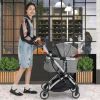 Dog Stroller with Removable Waterproof Cover, Foldable