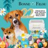 Dog Treats Easter-Spring Themed Gift Box
