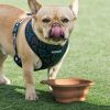 Dog food bowl Silicone folding automatic feeder outdoor travel portable