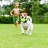 Dog Training Collar Wireless Electric Boundary Containment System For Small Medium Large Dogs