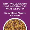 Dog Chow Purina High Protein Real Lamb Flavor Dry Dog Food 44 lb Bag