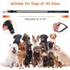 Dog Leash LED Dog Leash with 9 Light Colors IPX7 Waterproof USB Rechargeable