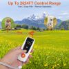Dog Training Collar Rechargeable Receiver with Light Beep Vibration Shock Fit for All Dogs 10-150LBS