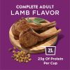 Dog Chow Purina High Protein Real Lamb Flavor Dry Dog Food 44 lb Bag