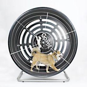 TreadWheel For Small Dogs, GoPet