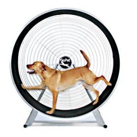 TreadWheel For Large Dogs