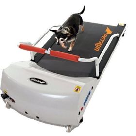 Dog Treadmill, PetRun PR700