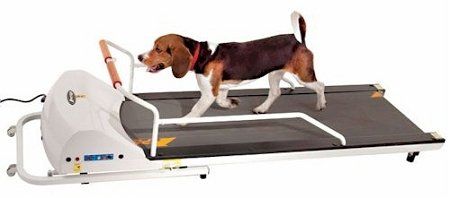 Dog Treadmill, PetRun PR720F
