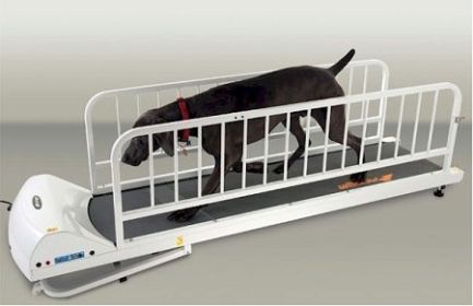 Dog Treadmill, PetRun PR725