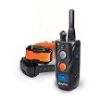 Training Collar 2 Dog  Dogtra 282C Remote