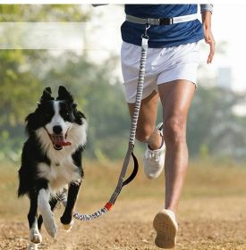 Dog Leash for Medium and Large Dogs - Hands Free  Durable Dual Handle Waist Leash with Reflective Bungee (colour: Orange -4211, Specification (L * W): 2.5*160cm)