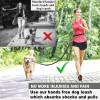Dog Leash for Medium and Large Dogs - Hands Free  Durable Dual Handle Waist Leash with Reflective Bungee
