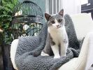 Premium Fluffy Fleece Dog Blanket; Soft and Warm Pet sleeping mat