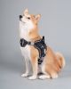 Dog Harness Helios 'Scorpion'