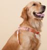 Dog Harness and Leash Touchdog 'Macaron' 2-in-1 Durable Nylon