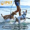 Dog Bark Collar Rechargeable Color Screen Dog Training Device