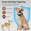 Dog Training Device Bark Collar Color Screen Rechargeable