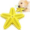 Dog Toothbrush with Sound