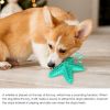 Dog Toothbrush with Sound