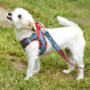 Dog Harness Step-In Denim - Red Plaid