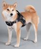 Dog Harness Helios 'Scorpion'