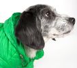 Dog Coat Lightweight Adjustable 'Sporty Avalanche'