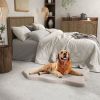 Dog Bed with Memory Foam Support for Large Dogs, Orthopedic