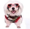 Dog Goggles UV Protection Glasses Waterproof Windproof Anti-Fog Eye Protection