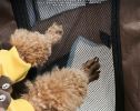 Dog Playpen Pop up Tent Indoor Outdoor Kennel Waterproof Bottom Removable Top Portable Soft