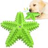 Dog Toothbrush with Sound