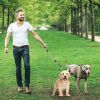 Dog Leash Double No-Tangle Reflective w/ Swivel Coupler Padded Handle