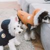 Dog Coat Parka  Touchdog 'Eskimo-Swag' Duck-Down