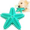 Dog Toothbrush with Sound