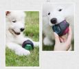Dog Chew Toy Rubber Bouncing Toy Light up Ball Squeaky Toy, Bite Resistant Irregular Shape Toy